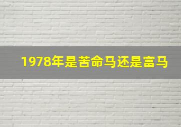 1978年是苦命马还是富马,1978年是苦命马还是富马女