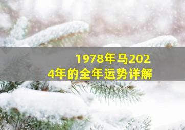 1978年马2024年的全年运势详解,1978年的马在2024年怎么样