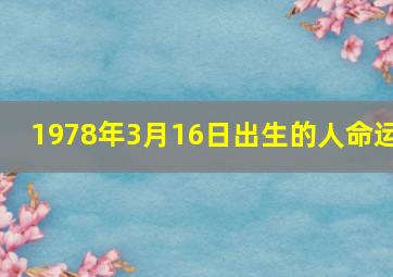 1978年3月16日出生的人命运,1978年3月16号