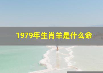 1979年生肖羊是什么命,1979年的羊属什么命