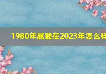 1980年属猴在2023年怎么样,80年属猴的人2023年的运势及运程