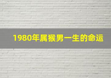 1980年属猴男一生的命运,80年属猴的人一生命运如何幸福美满健康长寿