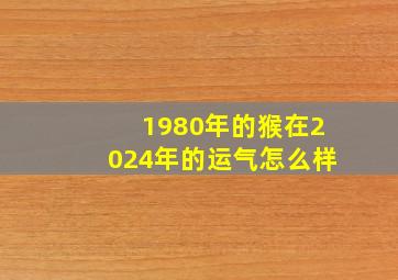 1980年的猴在2024年的运气怎么样