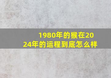 1980年的猴在2024年的运程到底怎么样,1980年的猴在2024年的运程到底怎么样呀