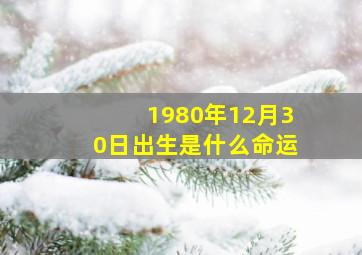 1980年12月30日出生是什么命运