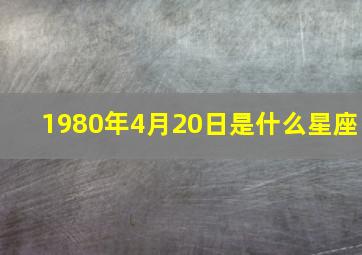 1980年4月20日是什么星座,1980年出生的什么星座