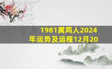 1981属鸡人2024年运势及运程12月20,1981年属鸡2024年运势及运程女