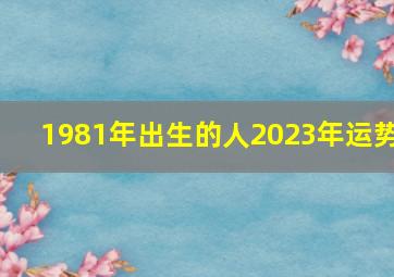 1981年出生的人2023年运势,1981年属鸡2023年运势完整版