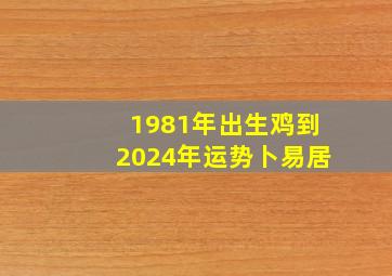 1981年出生鸡到2024年运势卜易居,1981年出生的鸡在2024年的运势