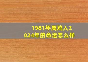 1981年属鸡人2024年的命运怎么样,1981年属鸡人2024年运势及运程