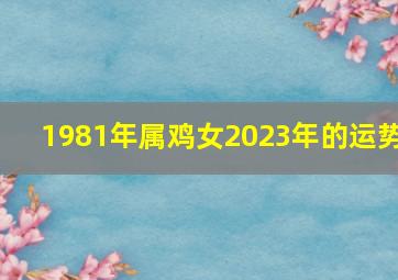 1981年属鸡女2023年的运势,42岁1981年出生的属鸡女命2023年上半年运气运势