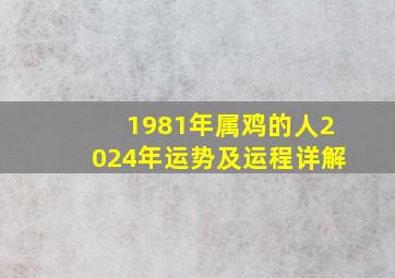 1981年属鸡的人2024年运势及运程详解,1981年属鸡的人2024年运势及运程详解一下