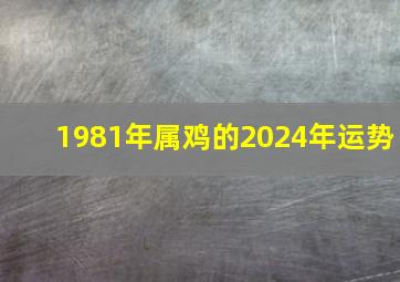 1981年属鸡的2024年运势