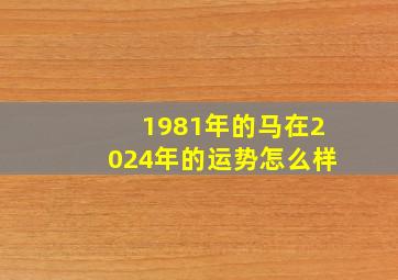 1981年的马在2024年的运势怎么样