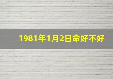 1981年1月2日命好不好,1981年属鸡人的命运