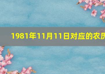 1981年11月11日对应的农历,1981年11月11日阳历