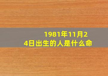 1981年11月24日出生的人是什么命,1981年农历11月24日出生的男人2015年财运及婚姻如何