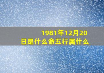 1981年12月20日是什么命五行属什么,1981年12月20日生是什么命