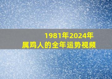 1981年2024年属鸡人的全年运势视频,1981年属鸡2024年运势及运程