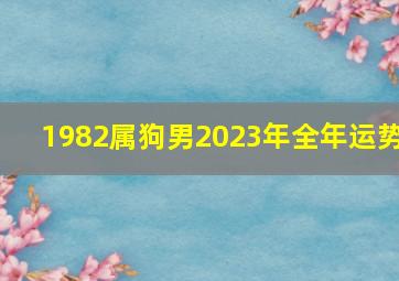 1982属狗男2023年全年运势,2023属狗男人全年运势1982