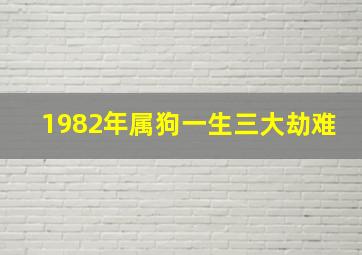 1982年属狗一生三大劫难,属狗的2024年有三喜