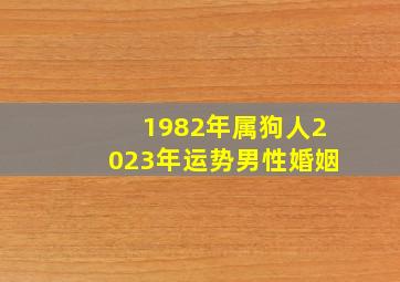 1982年属狗人2023年运势男性婚姻,属狗男人2023年全年运势运程如何