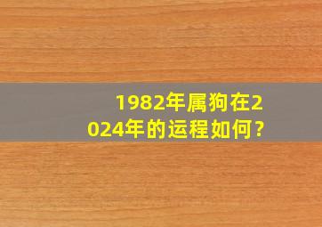 1982年属狗在2024年的运程如何？,1982年属狗2024年感情运势及运程