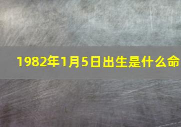 1982年1月5日出生是什么命,哪位高手给我算算爱情和事业我1982年1月7日0点30分左右出生