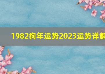 1982狗年运势2023运势详解,1982属狗今年运程