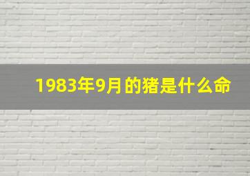 1983年9月的猪是什么命,1983年9月的猪是什么命运