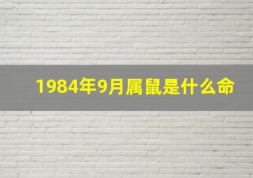 1984年9月属鼠是什么命,1984年九月出生的鼠命