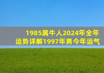 1985属牛人2024年全年运势详解1997年男今年运气,1985属牛在2024运势