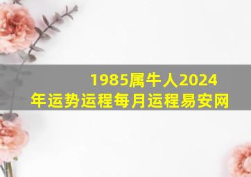 1985属牛人2024年运势运程每月运程易安网,1985属牛的在2024年运气