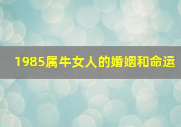 1985属牛女人的婚姻和命运,85年属牛女的命运婚姻	作事勤勉