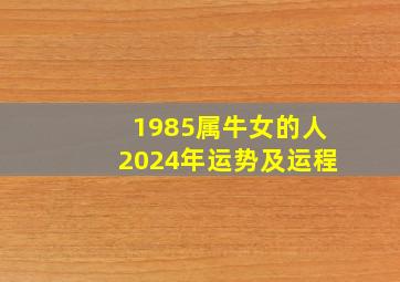 1985属牛女的人2024年运势及运程,1985属牛的人2024年运势及运程