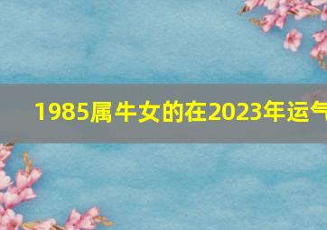 1985属牛女的在2023年运气,1985年属牛女2023年的运气和财运怎么样稳中有升的一年