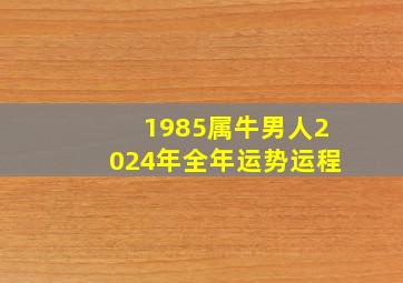 1985属牛男人2024年全年运势运程,1985属牛男2024年的运势