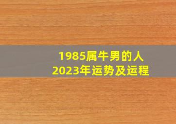 1985属牛男的人2023年运势及运程,1985属牛男的人2023年运势及运程免费