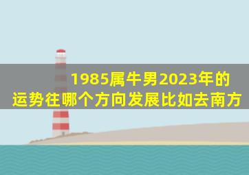 1985属牛男2023年的运势往哪个方向发展比如去南方,1985属牛人2023年运势运程