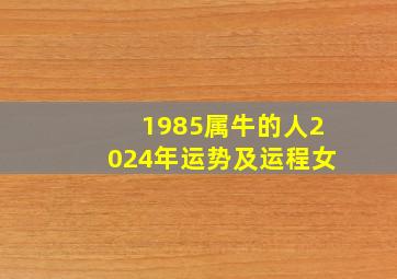 1985属牛的人2024年运势及运程女