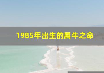 1985年出生的属牛之命