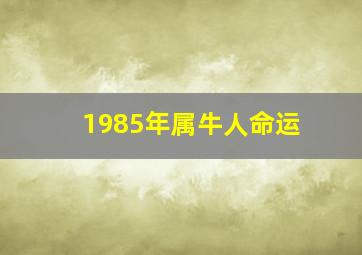 1985年属牛人命运