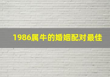 1986属牛的婚姻配对最佳,86年属牛女最佳婚配