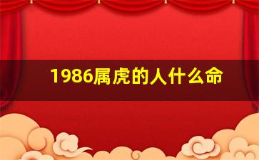 1986属虎的人什么命,请问1986年虎年的属虎人是什么命