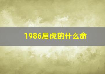 1986属虎的什么命,属虎1986年什么命