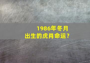 1986年冬月出生的虎肖命运？