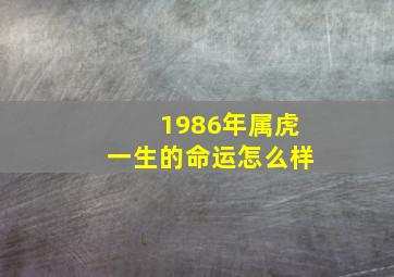 1986年属虎一生的命运怎么样,1986年属虎是什么命