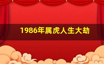 1986年属虎人生大劫,