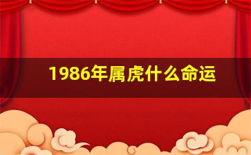 1986年属虎什么命运,