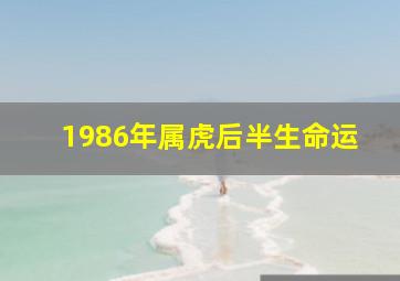 1986年属虎后半生命运,属虎86年一生晚年怎样